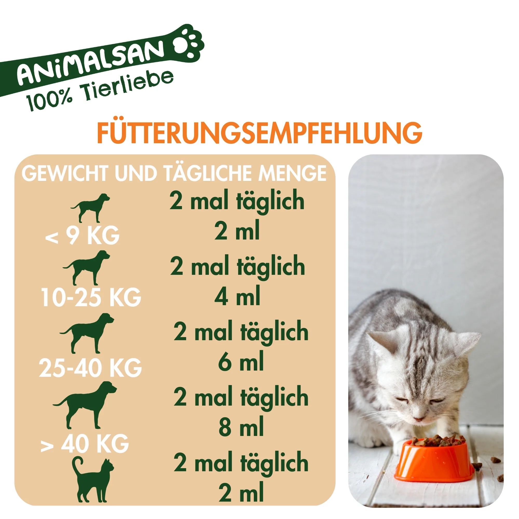 DarmBalance Fütterungsempfehlung