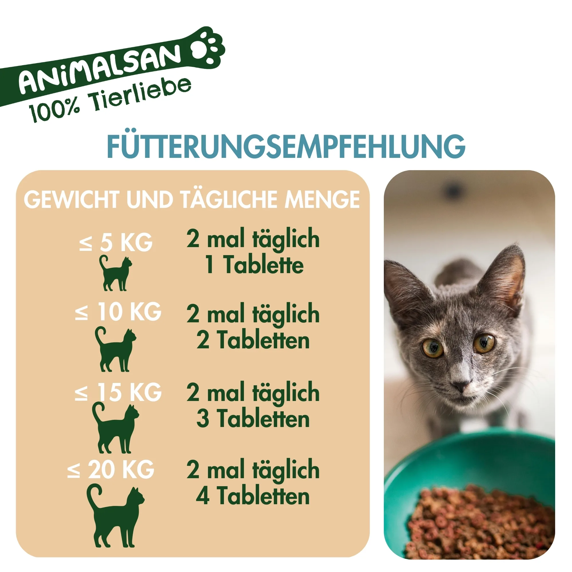 Gelenke Katzen Fütterungsempfehlung.