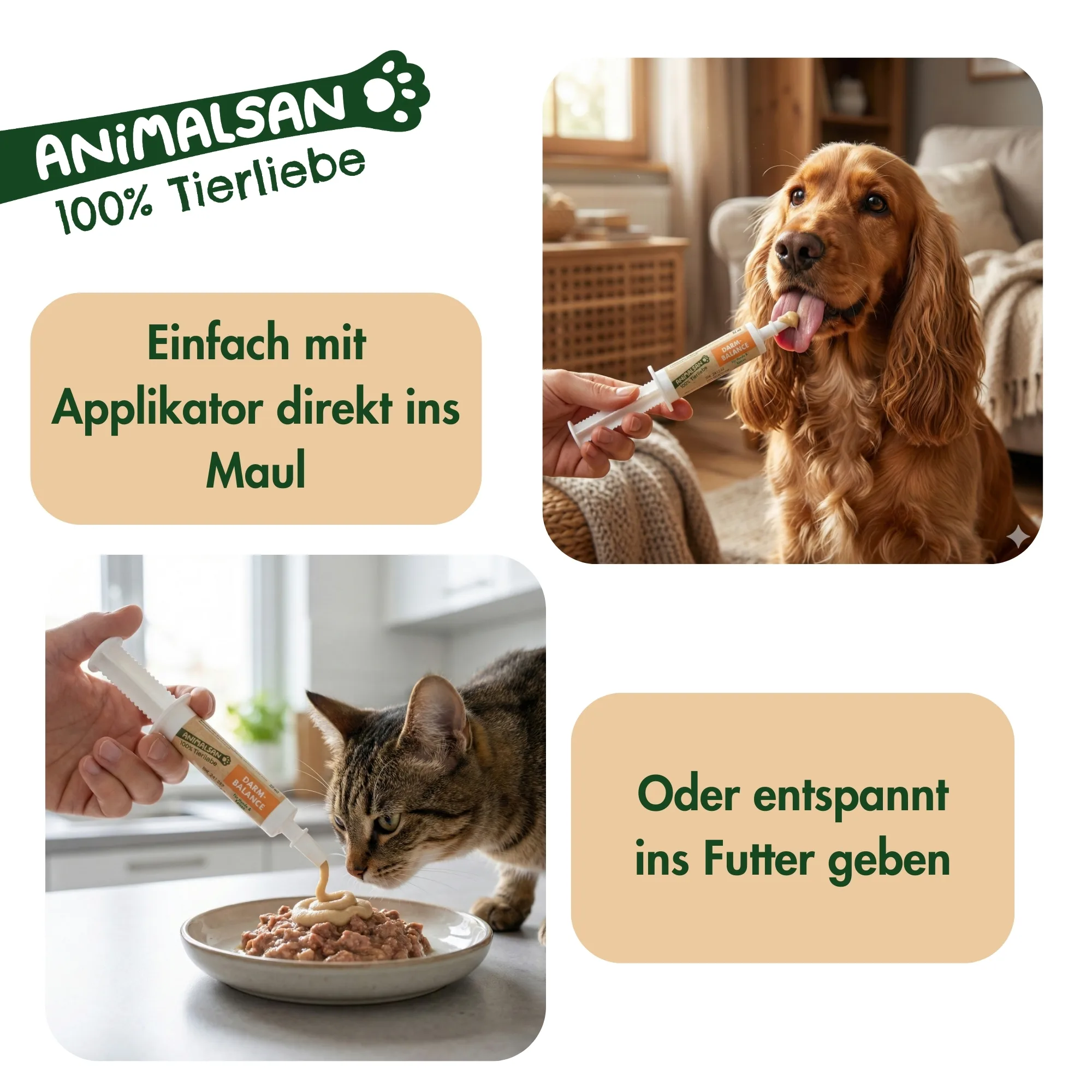 Anwendung für DarmBalance.