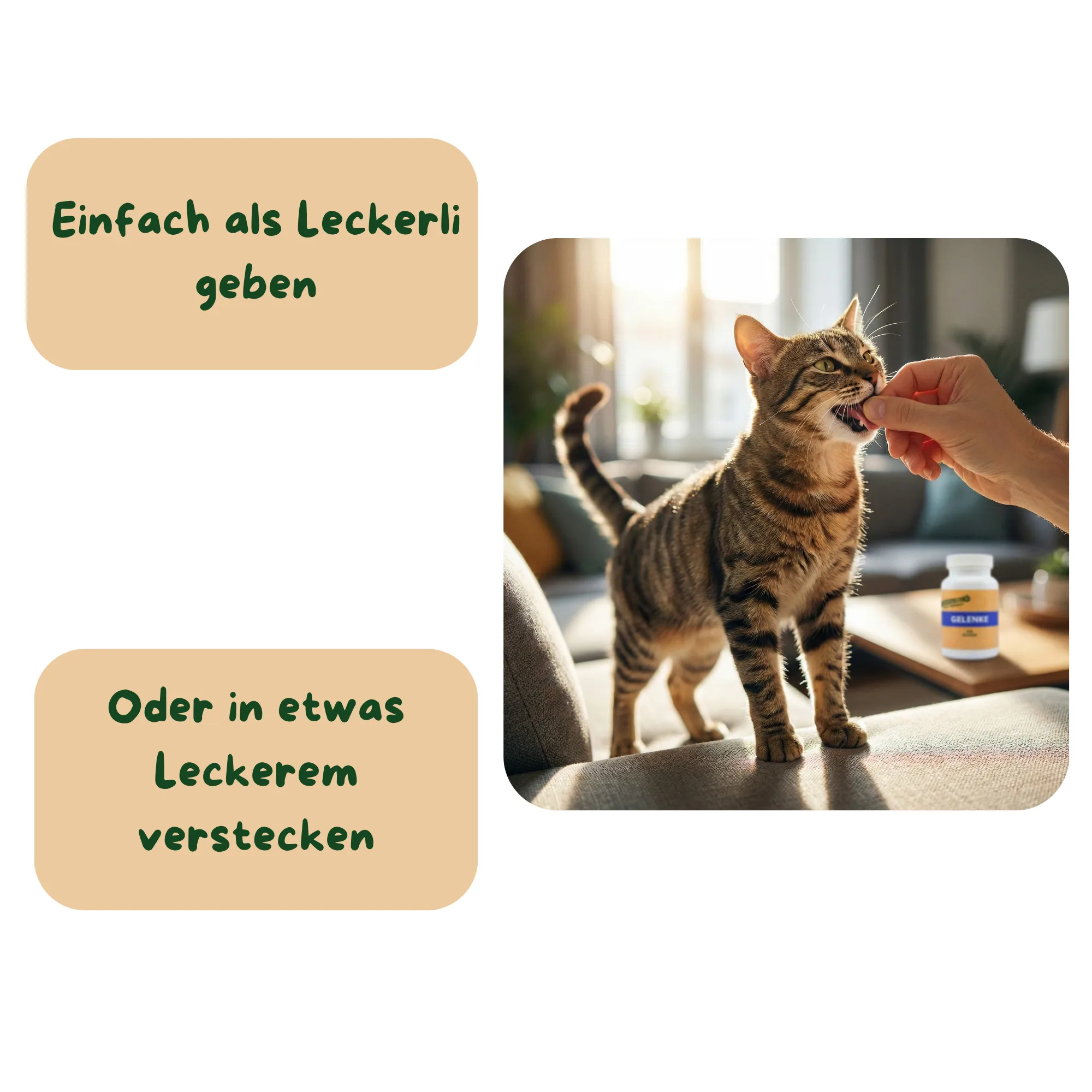 Animalsan Gelenke Katze – Bild 3