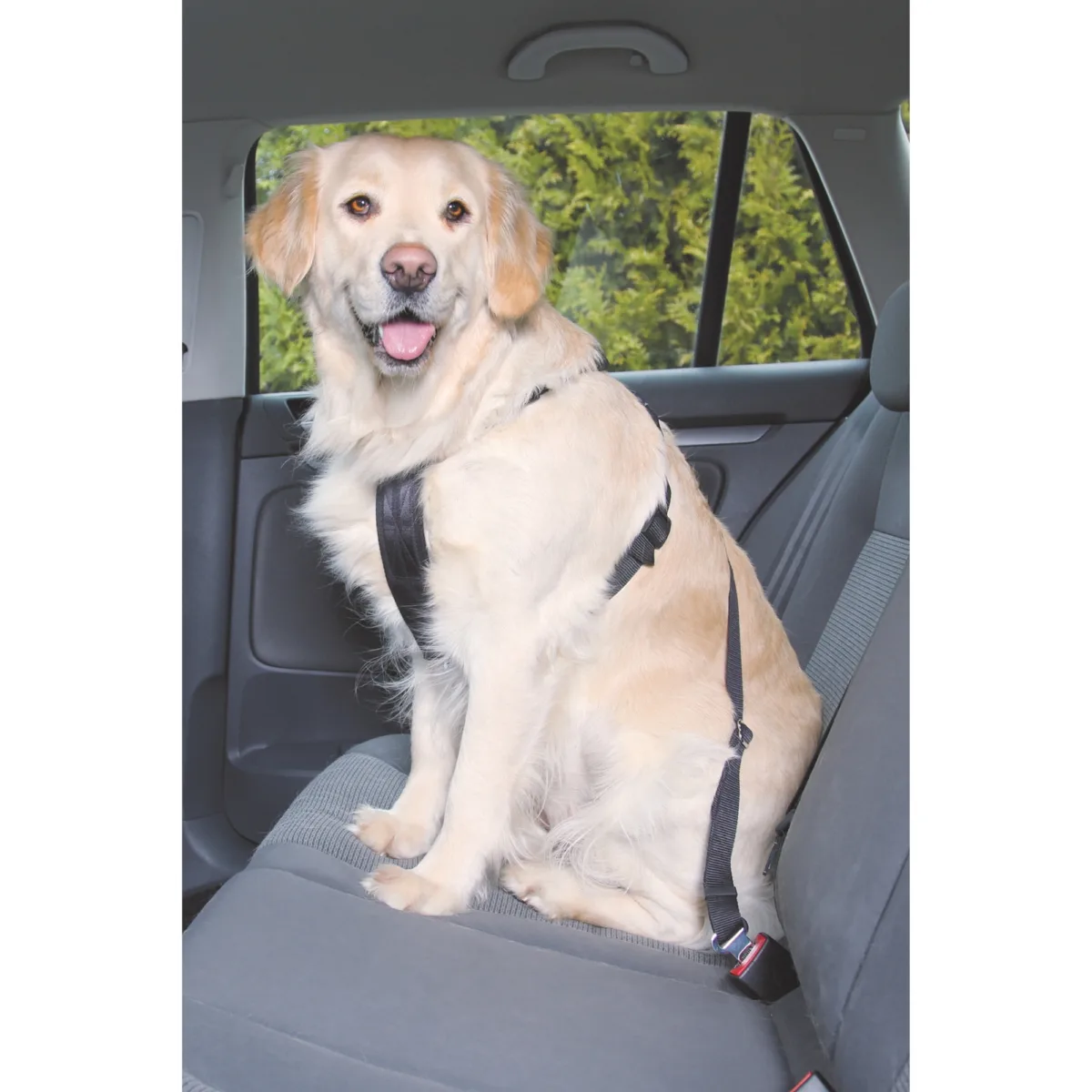 Sicherheitsgeschirr XL, 80-110cm Brust