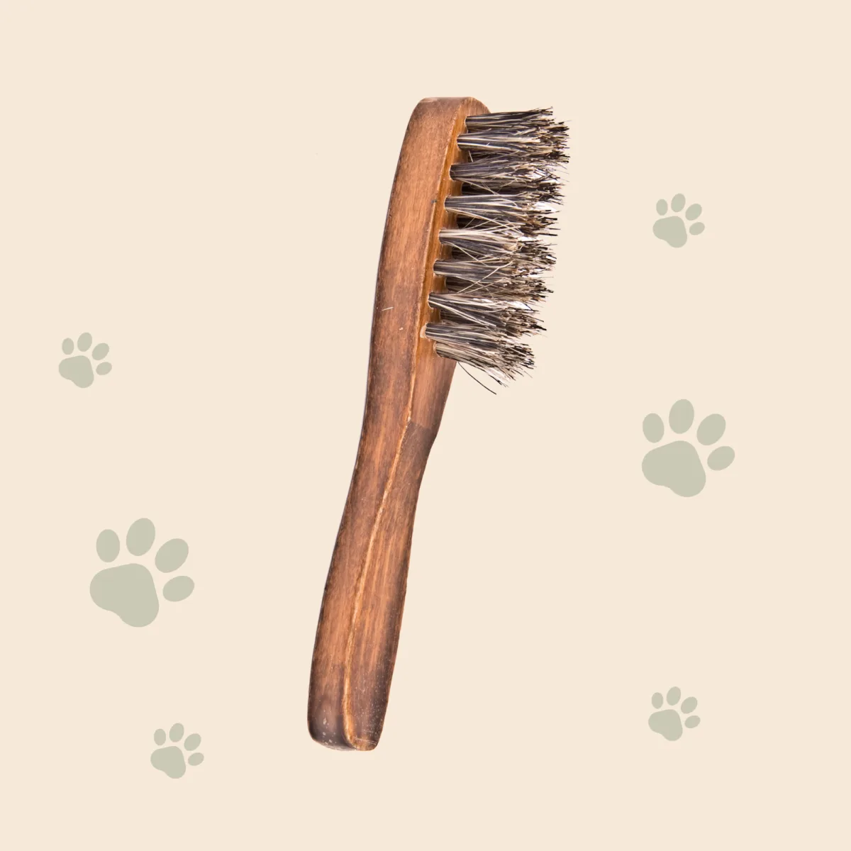 Pferdestriegel Coat King, grobe Ausführung